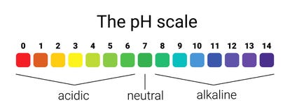 Ph scale. infographic acid-base balance. scale for chemical analysis acid base. stock illustration Ph scale. infographic acid-base balance. scale for chemical analysis acid base. stock illustration