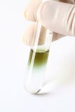 PH testing Stock Photography PH testing Stock Photography
