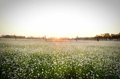 Pha Tama - turystyki Tajlandia władza zdjęcia stock Pha Tama - turystyki Tajlandia władza zdjęcia stock
