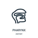 pharynx icon vector from anatomy collection. Thin line pharynx outline icon vector illustration. Linear symbol for use on web and royalty free illustration pharynx icon vector from anatomy collection. Thin line pharynx outline icon vector illustration. Linear symbol for use on web and royalty free illustration