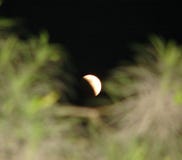 A Phase of Lunar Eclipse - Penumbral Eclipse