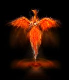 Phoenix-Vogel Phoenix-Vogel