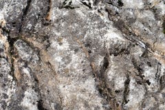 Photo of abstract background texture of natural stone royalty free stock photo Photo of abstract background texture of natural stone royalty free stock photo
