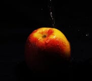 Photo of apple royalty free stock photos Photo of apple royalty free stock photos