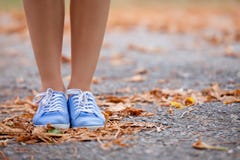 photo of female legs on the asphalt road full of dried yellow foliage stock photography photo of female legs on the asphalt road full of dried yellow foliage stock photography