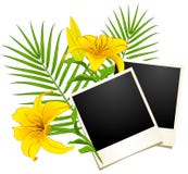Photo Frames With Flowers Stock Images