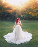 Photo lumineuse d'art, grande fille tendre dodue mignonne avec les cheveux rouges dans la longue robe légère argentée avec les su images libres de droits Photo lumineuse d'art, grande fille tendre dodue mignonne avec les cheveux rouges dans la longue robe légère argentée avec les su images libres de droits