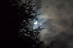 Partial solar eclipse clouds royalty free stock photography Partial solar eclipse clouds royalty free stock photography