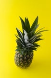 Photo verticale d'ananas frais Fruit élégant moderne sur le fond jaune photo stock Photo verticale d'ananas frais Fruit élégant moderne sur le fond jaune photo stock