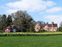 Daffodil beds at the Chorleywood House Estate royalty free stock images Daffodil beds at the Chorleywood House Estate royalty free stock images