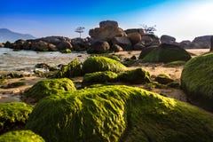 Nature Seascape with Rough Stacked Rocks and Boulders at Hon Chong Promontory in The Morning Sunshine royalty free stock images Nature Seascape with Rough Stacked Rocks and Boulders at Hon Chong Promontory in The Morning Sunshine royalty free stock images