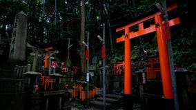 Little Shintos in the middle of Fushimi Inari royalty free stock image Little Shintos in the middle of Fushimi Inari royalty free stock image