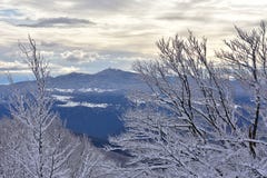 Winter landscape from Slovenia, area Zasavje