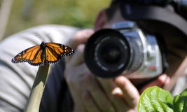 Photographer And Butterfly Royalty Free Stock Images Photographer And Butterfly Royalty Free Stock Images