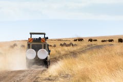 Photographer Safari Vehicle on Game Drive stock photography Photographer Safari Vehicle on Game Drive stock photography