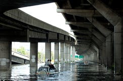 Photos éditoriales inondant à Bangkok, deux hommes s'asseyant sur le toit de la voiture pour s'échapper de l'eau, photographié en photo stock Photos éditoriales inondant à Bangkok, deux hommes s'asseyant sur le toit de la voiture pour s'échapper de l'eau, photographié en photo stock