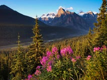 Piękny krajobraz z Skalistymi górami przy zmierzchem w Banff parku narodowym, Alberta, Kanada