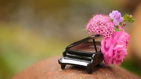 Piano flower river background hd footage nobody. Day light Piano flower river background hd footage nobody. Day light