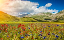 Piano Grande summer landscape, Umbria, Italy royalty free stock photo Piano Grande summer landscape, Umbria, Italy royalty free stock photo