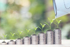 Pianta che cresce sulla pila di soldi delle monete su fondo, sui tassi di interesse e sul concetto verdi naturali di investimento fotografia stock Pianta che cresce sulla pila di soldi delle monete su fondo, sui tassi di interesse e sul concetto verdi naturali di investimento fotografia stock