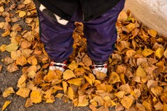 Piccolo bambino nello stare delle scarpe da tennis fotografie stock libere da diritti Piccolo bambino nello stare delle scarpe da tennis fotografie stock libere da diritti