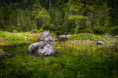 Piccolo stagno Gosaulacke sotto Dachstein in Austria con la grande riflessione della foresta verde immagini stock Piccolo stagno Gosaulacke sotto Dachstein in Austria con la grande riflessione della foresta verde immagini stock