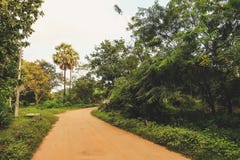 Piccolo vicolo attraverso la giungla nello Sri Lanka fotografia stock libera da diritti Piccolo vicolo attraverso la giungla nello Sri Lanka fotografia stock libera da diritti