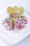 Pickled Herring Salad Royalty Free Stock Photos Pickled Herring Salad Royalty Free Stock Photos