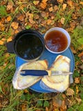 Picnic sulle foglie nella foresta immagini stock libere da diritti Picnic sulle foglie nella foresta immagini stock libere da diritti