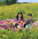 picnic κοριτσιών αγοριών picnic κοριτσιών αγοριών