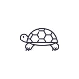 Pictogram van de schildpad het vectorlijn, teken, illustratie op achtergrond, editable slagen stock illustratie Pictogram van de schildpad het vectorlijn, teken, illustratie op achtergrond, editable slagen stock illustratie