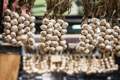 Garlic braids for sell for sale on a Canadian market in Montreal, Quebec, a province famous for its agriculture royalty free stock images Garlic braids for sell for sale on a Canadian market in Montreal, Quebec, a province famous for its agriculture royalty free stock images