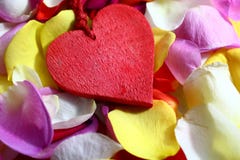 A red heart on rose petals stock image A red heart on rose petals stock image