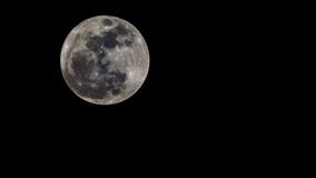 The Super Moon on Black Sky - November 2016 royalty free stock photo The Super Moon on Black Sky - November 2016 royalty free stock photo