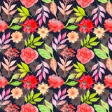 Watercolor floral seamless pattern dark background royalty free illustration Watercolor floral seamless pattern dark background royalty free illustration