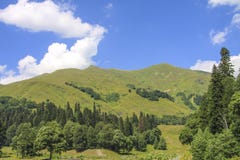 Picturesque natural sunny landscape of green alpine meadows royalty free stock photo Picturesque natural sunny landscape of green alpine meadows royalty free stock photo