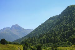 Picturesque natural sunny landscape of green alpine meadows stock photography Picturesque natural sunny landscape of green alpine meadows stock photography