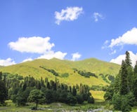 Picturesque natural sunny landscape of green alpine meadows stock images Picturesque natural sunny landscape of green alpine meadows stock images