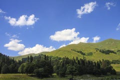 Picturesque natural sunny landscape of green alpine meadows royalty free stock photos Picturesque natural sunny landscape of green alpine meadows royalty free stock photos