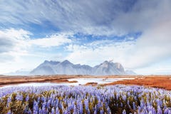 Picturesque Views Of The River And Mountains In Iceland. Stock Images Picturesque Views Of The River And Mountains In Iceland. Stock Images