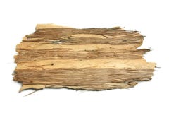 Free Piece Of Tree Bark Stock Images - 9974354