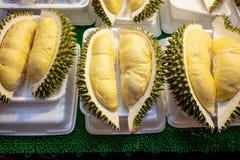 Pieces of durain fruit in white foam plate on display for sale. royalty free stock photos Pieces of durain fruit in white foam plate on display for sale. royalty free stock photos