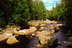 Piedras en el río en el bosque verde, República Checa, agosto foto de archivo libre de regalías Piedras en el río en el bosque verde, República Checa, agosto foto de archivo libre de regalías