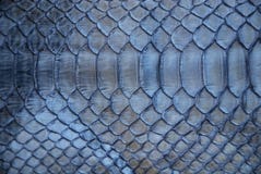 Piel de serpiente azul Piel de serpiente azul