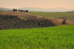 PIENZA, TOSCANE/ITALIE - 31 MARS 2017 : beau paysage de la Toscane, peu de chapelle de Madonna di Vitaleta, Pienza, Sienne photos libres de droits PIENZA, TOSCANE/ITALIE - 31 MARS 2017 : beau paysage de la Toscane, peu de chapelle de Madonna di Vitaleta, Pienza, Sienne photos libres de droits