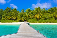 Pier, strand en wildernis stock fotografie Pier, strand en wildernis stock fotografie