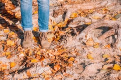 Piernas de la mujer en botas en las hojas de otoño imagen de archivo Piernas de la mujer en botas en las hojas de otoño imagen de archivo