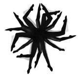 Piernas de la mujer que componen una araña con las piernas múltiples fotos de archivo libres de regalías Piernas de la mujer que componen una araña con las piernas múltiples fotos de archivo libres de regalías