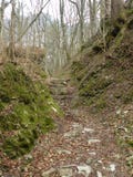 Pierres et chemin de la terre à travers la forêt, feuilles tombées au sol, roches couvertes de la mousse, tranquille, tranquille, photographie stock Pierres et chemin de la terre à travers la forêt, feuilles tombées au sol, roches couvertes de la mousse, tranquille, tranquille, photographie stock