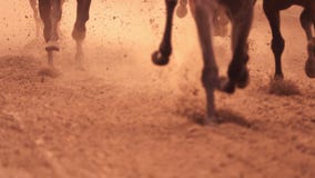 Pies de la carrera de caballos Pies de la carrera de caballos